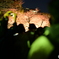 夜桜見物