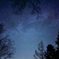 星空と森