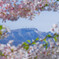 手稲山を望む