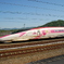D2C_8282