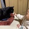 猫と娘