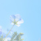 blue in blue