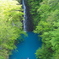新緑の湖