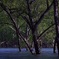 水没林を行く②