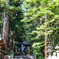 神隠しの神社（赤城神社）
