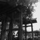 赤城神社 惣門