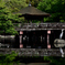 奈良公園