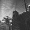 _1040495_DxO