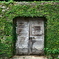 沖縄行脚 -Door 2-