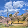 枝垂れ桜モニュメント　