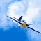 Nosedive