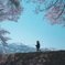春散歩