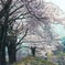 心踊る