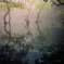 幻惑