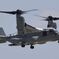 Osprey_8412