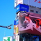 新宿猫