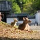 朝の景色