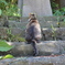 尻尾がだらん