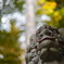 神社7
