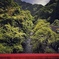 雨、間近