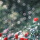 そうび…‎✿ڿڰۣ—