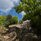 P5040166-0507