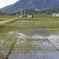 筑波山麓
