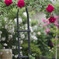 Leica tele ermarit 90mmf2.8後期