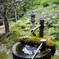 花手水