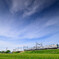 薄曇りの空と麦畑