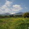 北の国から　初夏