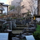 DSCF0717