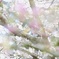 はる色の幻想