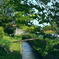 写真エッセイ：玉川