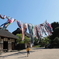 古民家の鯉のぼり