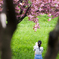 子に桜を見せる母親