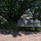 P1000154-1