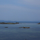静かな海