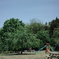 R0000677