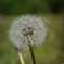 R0000681