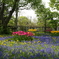 札幌　百合が原公園