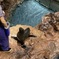 アテナ