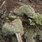 P1210657