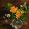 オレンジの薔薇