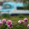 初夏の私鉄沿線