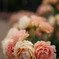 若園薔薇公園