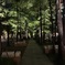 夜の散歩②