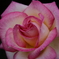 DSCF0143