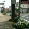 写真エッセイ：わが町点描31：駅前通り：NTW639