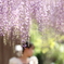 花のような人　～定番の藤すだれ～